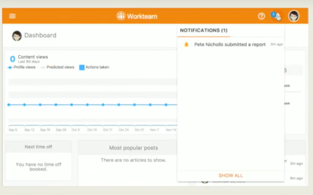 screenshot of Workteam Reports